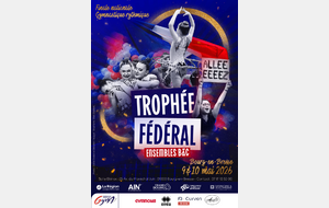 Championnat de France des ensembles fédérales B et C